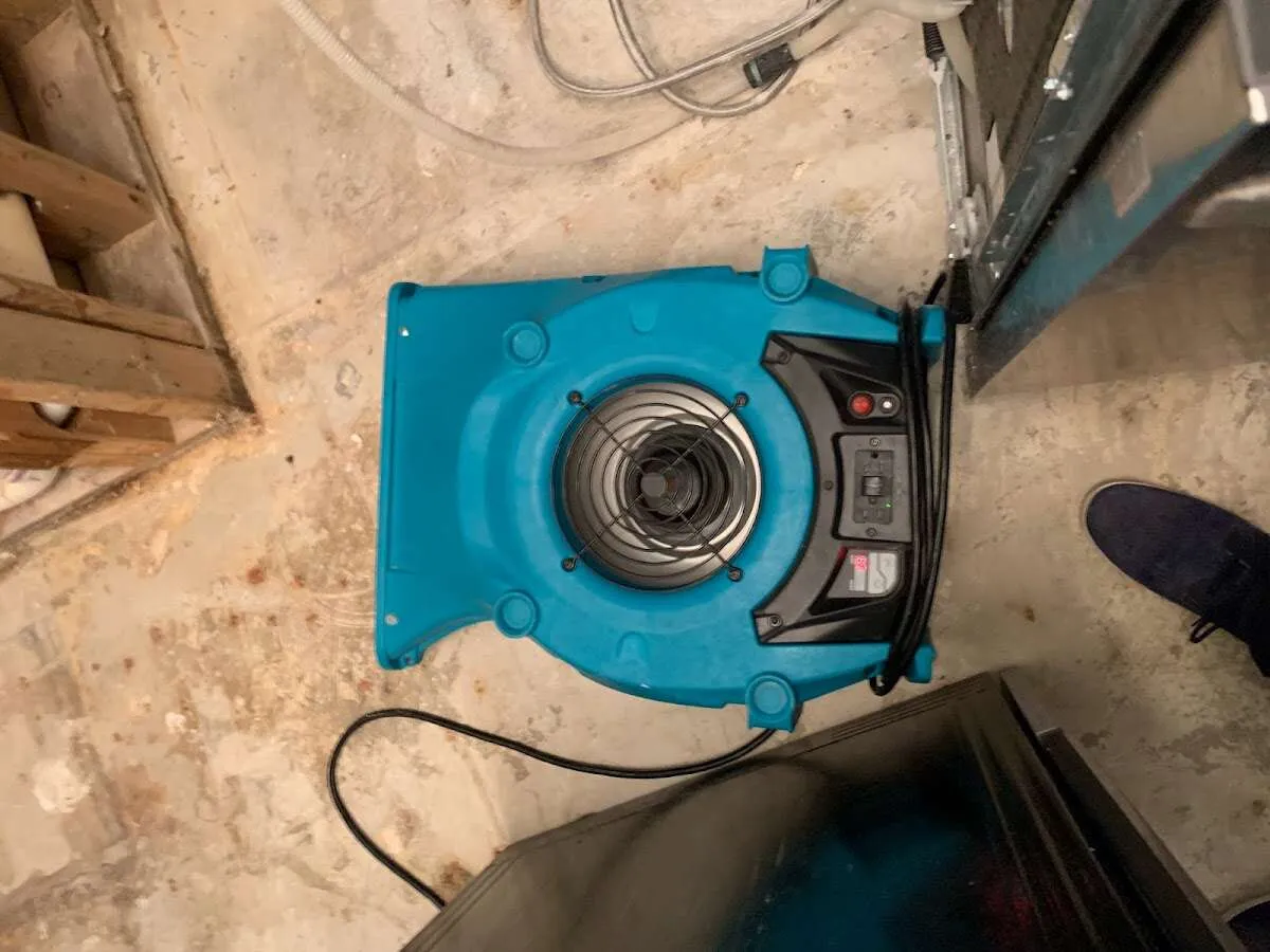 Air mover drying equipment for Mold Remediation & Removal in Mount Pleasant